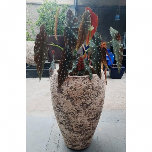 Vaso ndia n3 46x88cm Corais do Mar