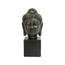 Cabea Buda Base Preta
